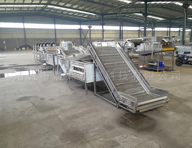 薺菜自動(dòng)清洗機(jī)生產(chǎn)廠家