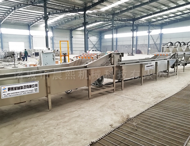 全自動(dòng)紫蘇葉清洗機(jī)型號(hào)