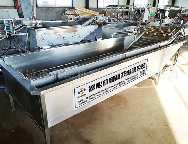 楊梅清洗流水線設備特性